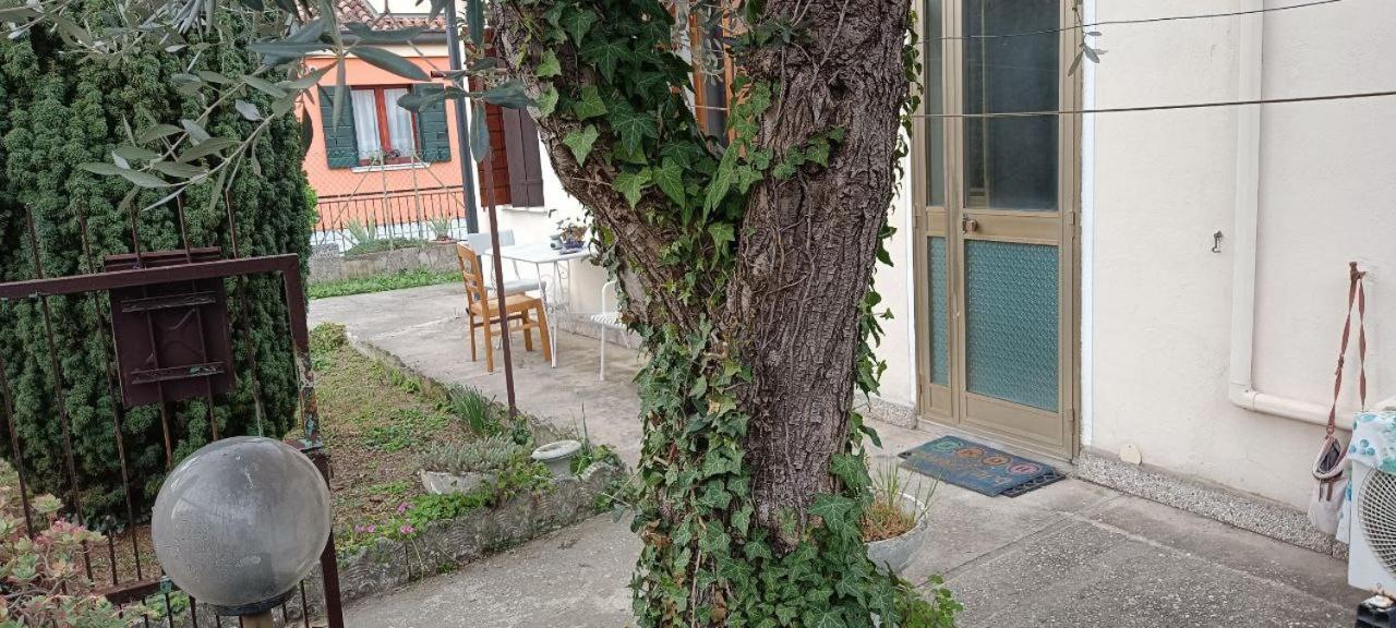 Veniserelax مارغيرا المظهر الخارجي الصورة