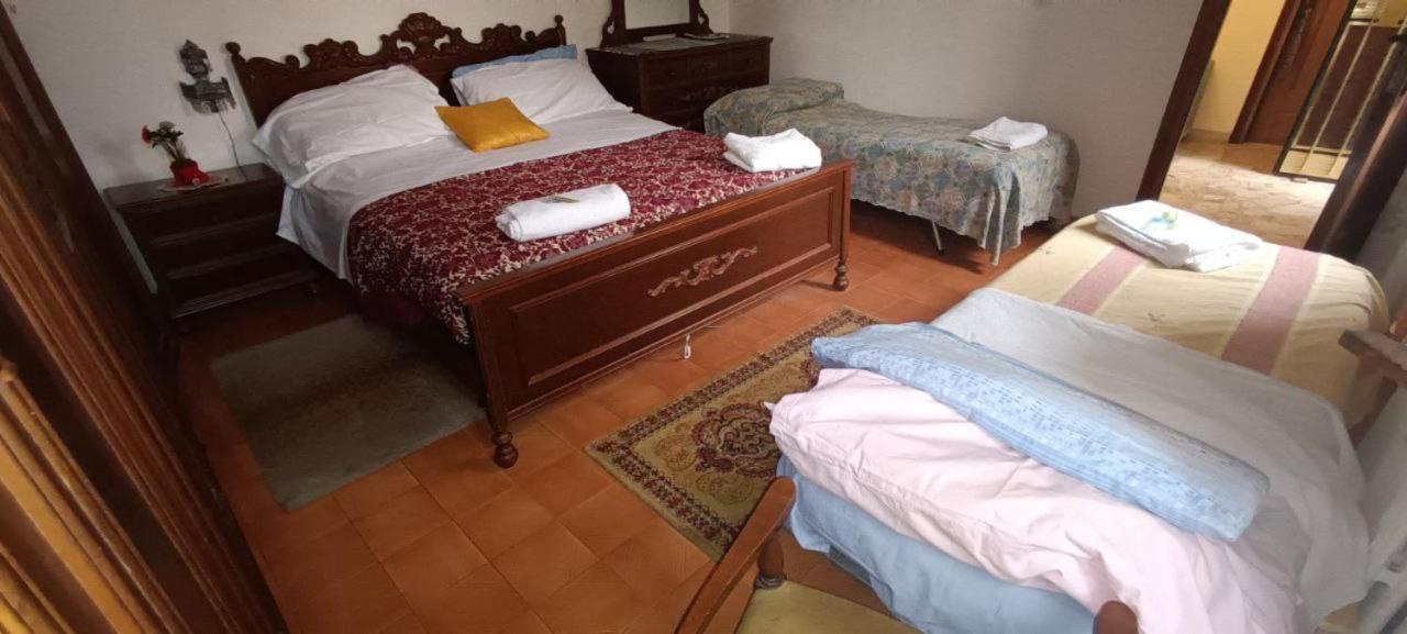 Veniserelax مارغيرا المظهر الخارجي الصورة