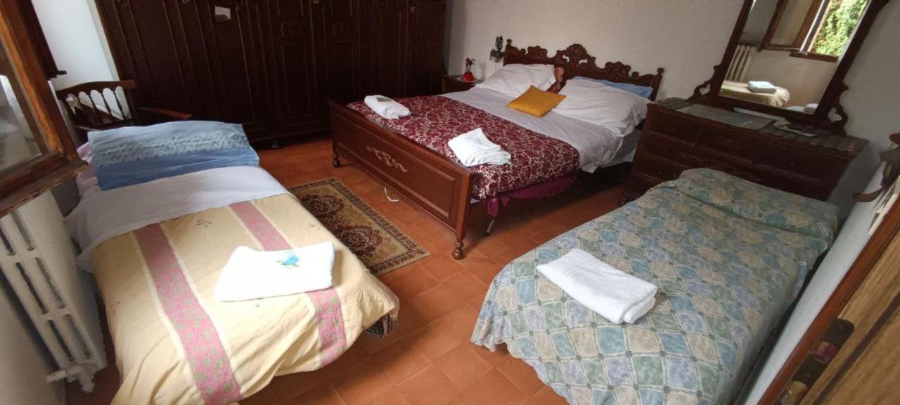 Veniserelax مارغيرا المظهر الخارجي الصورة